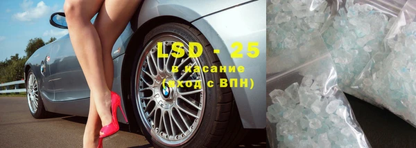 мдпв Ельня