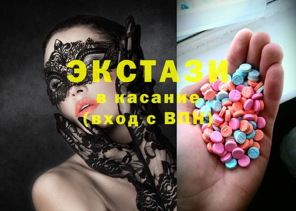 мдпв Ельня