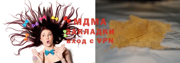 мдпв Ельня