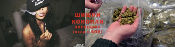крисы Елизово
