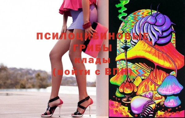 крисы Елизово