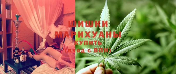 прущая мука Дмитриев