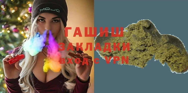 мдпв Ельня